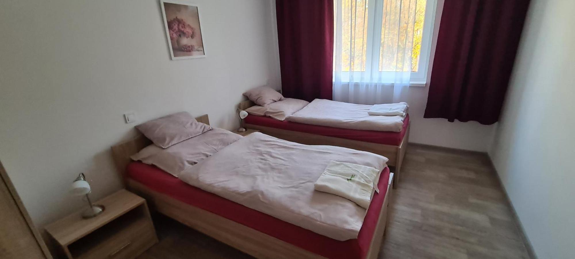 Apartman U Toma Frýdlant nad Ostravicí エクステリア 写真