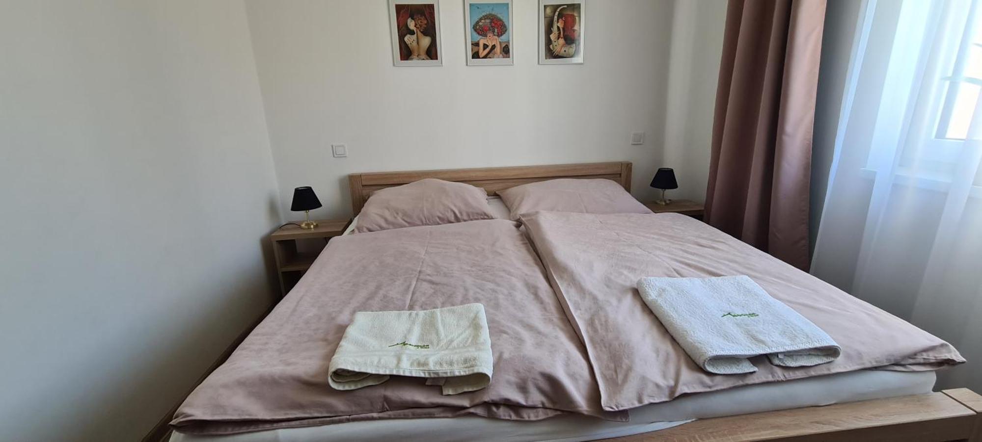 Apartman U Toma Frýdlant nad Ostravicí エクステリア 写真
