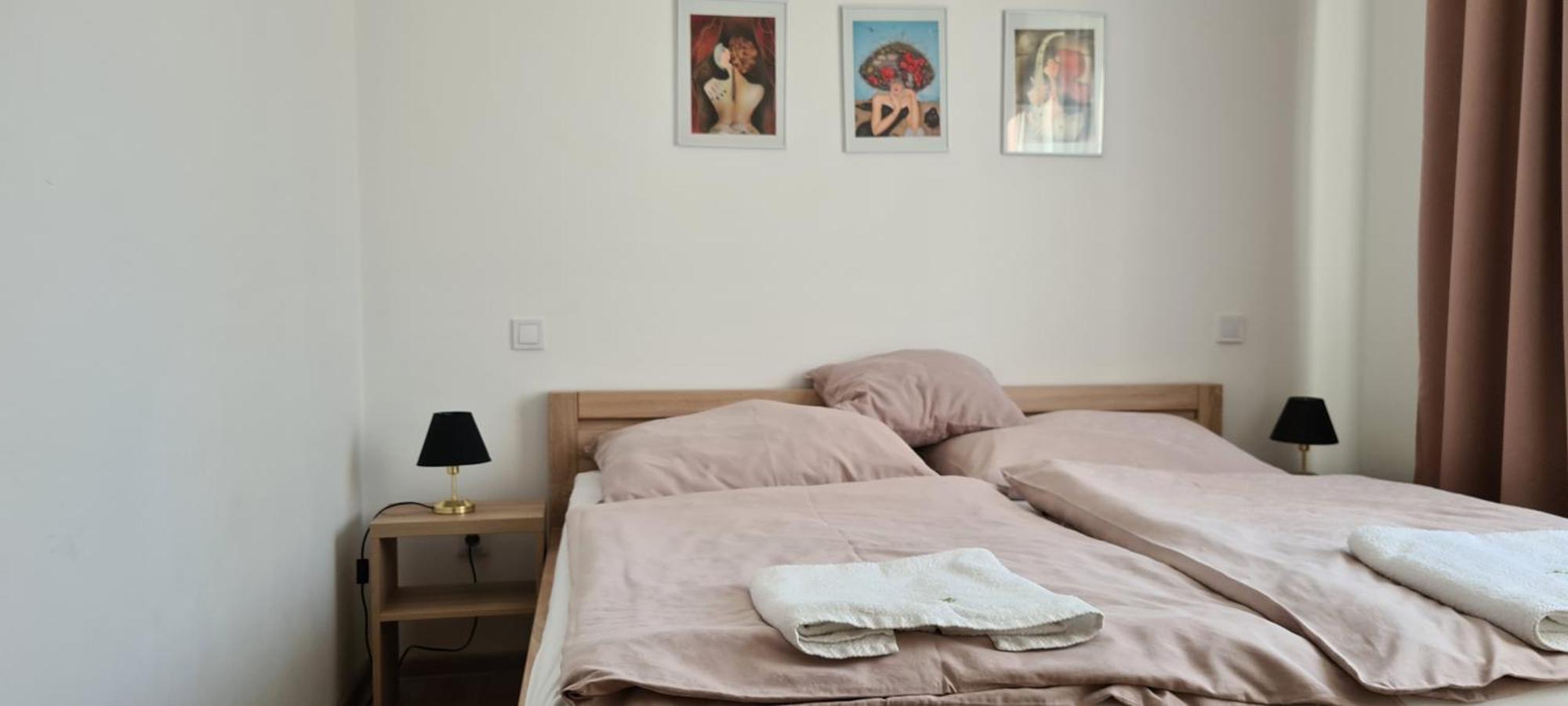 Apartman U Toma Frýdlant nad Ostravicí エクステリア 写真