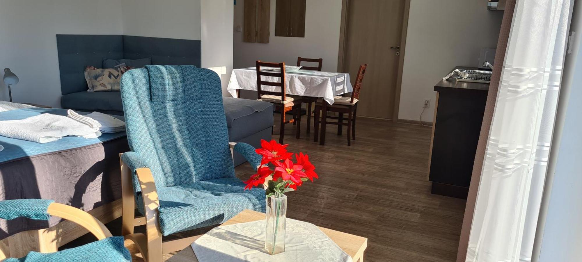 Apartman U Toma Frýdlant nad Ostravicí エクステリア 写真