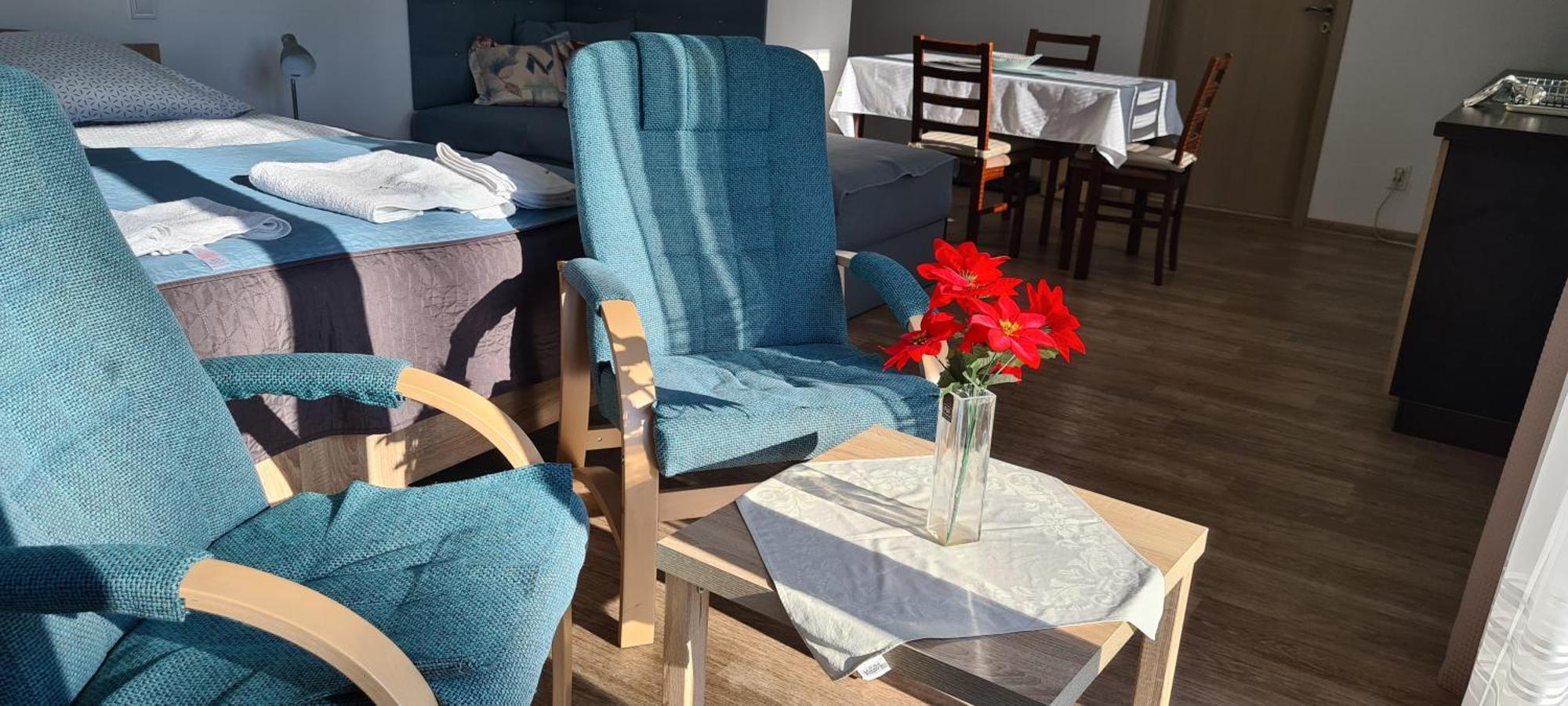 Apartman U Toma Frýdlant nad Ostravicí エクステリア 写真
