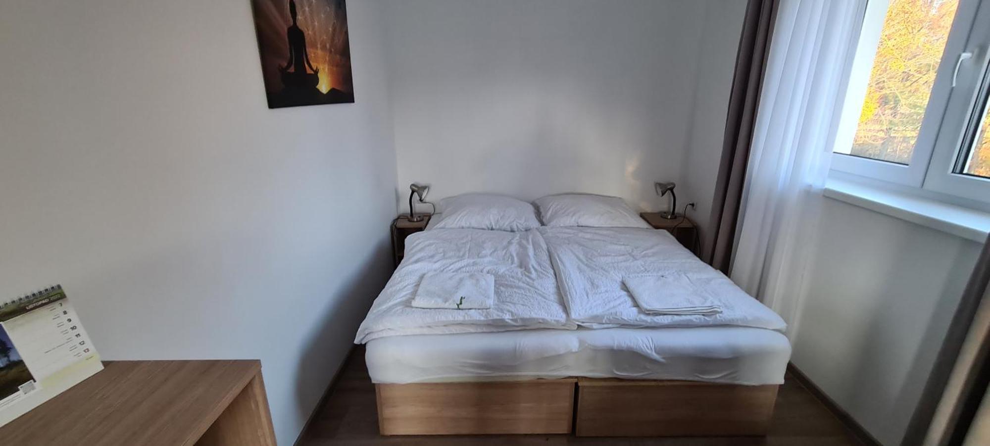 Apartman U Toma Frýdlant nad Ostravicí エクステリア 写真