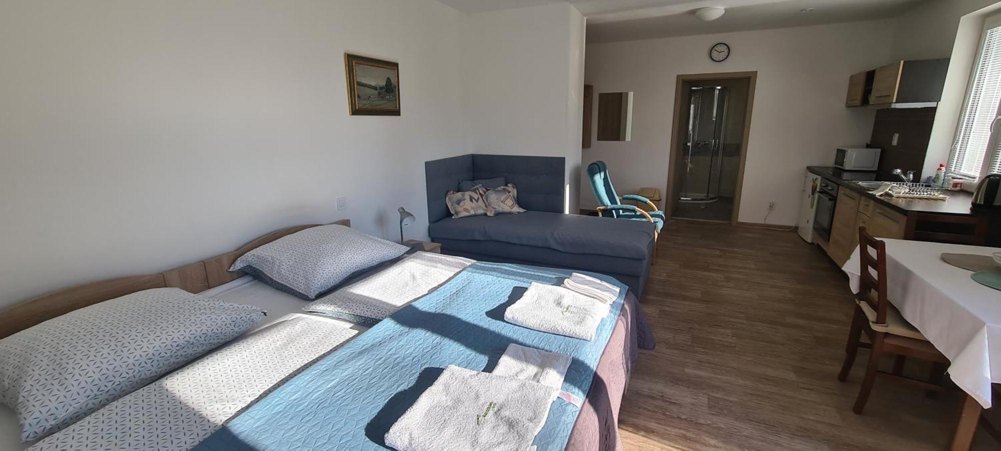 Apartman U Toma Frýdlant nad Ostravicí エクステリア 写真