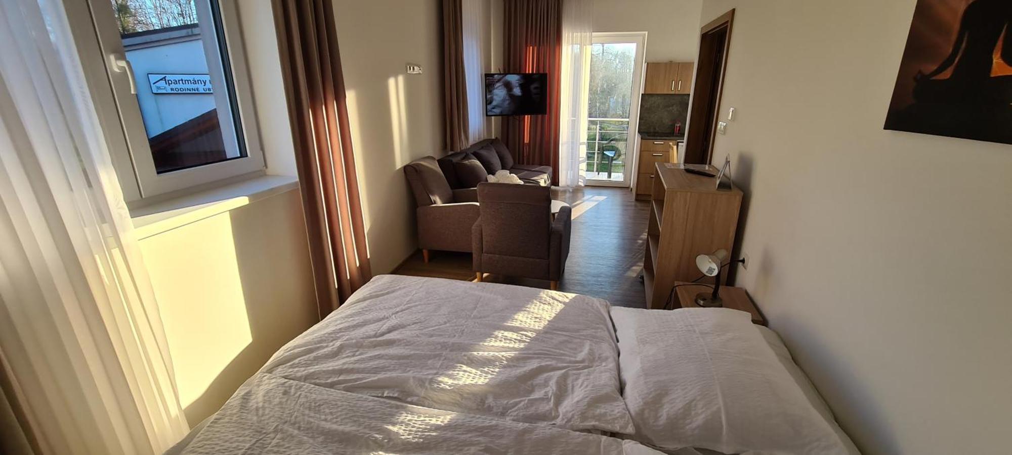 Apartman U Toma Frýdlant nad Ostravicí エクステリア 写真
