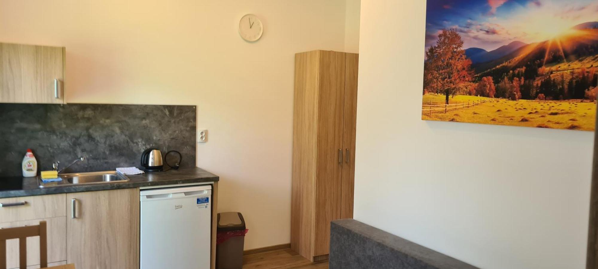 Apartman U Toma Frýdlant nad Ostravicí エクステリア 写真