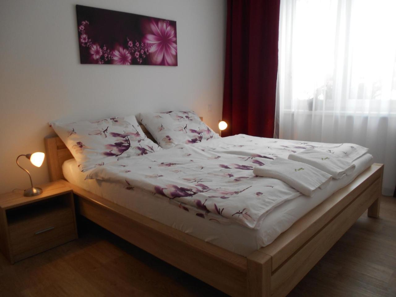 Apartman U Toma Frýdlant nad Ostravicí エクステリア 写真